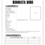 biodata diri