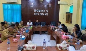 IMG-20250311-WA0047.jpg dprd ntt