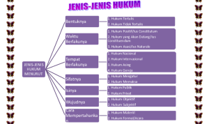 jenis hukum jenis hukum