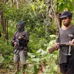 116860179 eaee3a1b 8ba1 4378 94c0 688e30c2340f.jpg 2