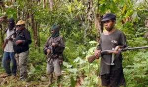 _116860179_eaee3a1b-8ba1-4378-94c0-688e30c2340f.jpg.webp 116860179 eaee3a1b 8ba1 4378 94c0 688e30c2340f.jpg 2