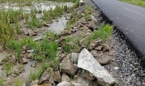 IMG_20231115_111555-scaled.jpg IMG 20231115 111555 scaled 1