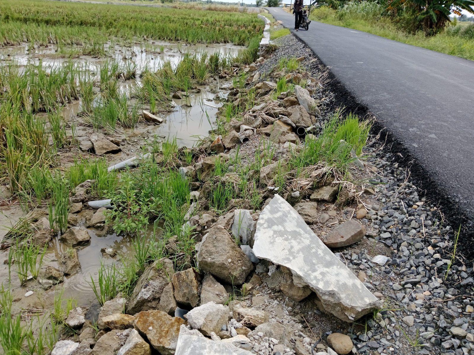 IMG 20231115 111555 scaled 1