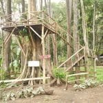 P 20170210 135750 01