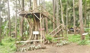 P_20170210_135750-01.jpeg P 20170210 135750 01