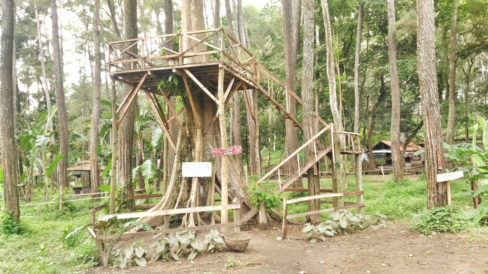 P 20170210 135750 01