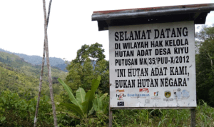 Taman Nasional Meratus, Kalimantan Selatan
