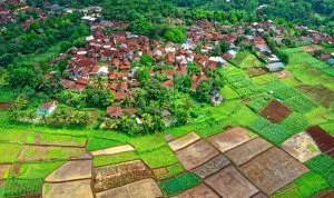 Village