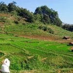 Ekosistem Rebana di Jawa Barat