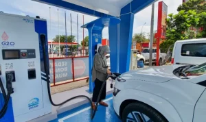 264-1-png.webp 264 1 png