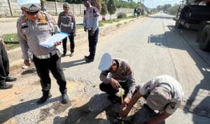 54522695157-img-20241213-wa0013.jpg 54522695157 img 20241213 wa0013