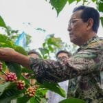 AA1GLWan.jpg AA1GLWan