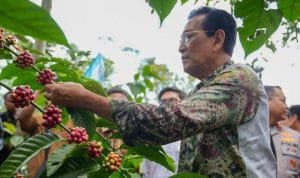 AA1GLWan.jpg AA1GLWan