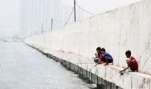 AA1ROZSU.jpg AA1ROZSU