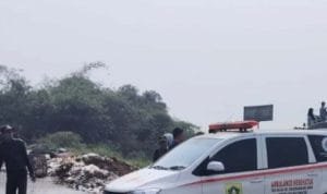 AA1RZ9d5 e1765294950596