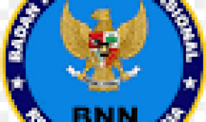 Hasil Seleksi Administrasi CPNS BNN 2014 BNN GO ID