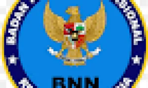 Hasil Seleksi Administrasi CPNS BNN 2014 BNN GO ID