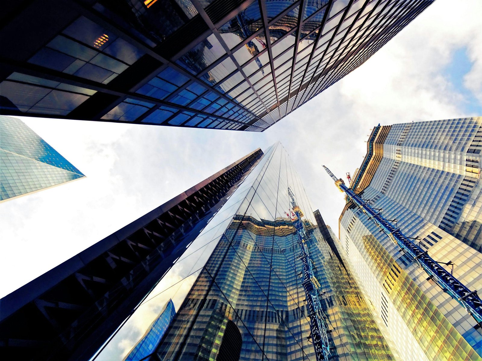 pexels photo 1603268 scaled