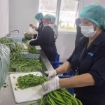 1736079427 4032x2268 2