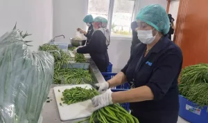 1736079427 4032x2268 2