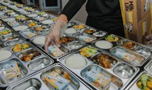 2553649856
