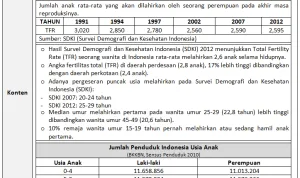 4057515 orig