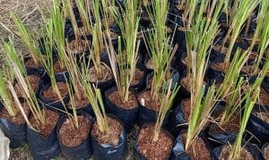 5e16cfb4dc953.jpeg 5e16cfb4dc953