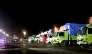 BPTD-mengusulkan-kapal-feri-perbantuan-untuk-lintasan-Situbondo-Madura.jpg BPTD mengusulkan kapal feri perbantuan untuk lintasan Situbondo Madura