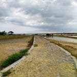 CNNyEy5RUA9Xx7yuvyBZvQkxbdMqdafmV2sZFZsi