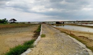 CNNyEy5RUA9Xx7yuvyBZvQkxbdMqdafmV2sZFZsi