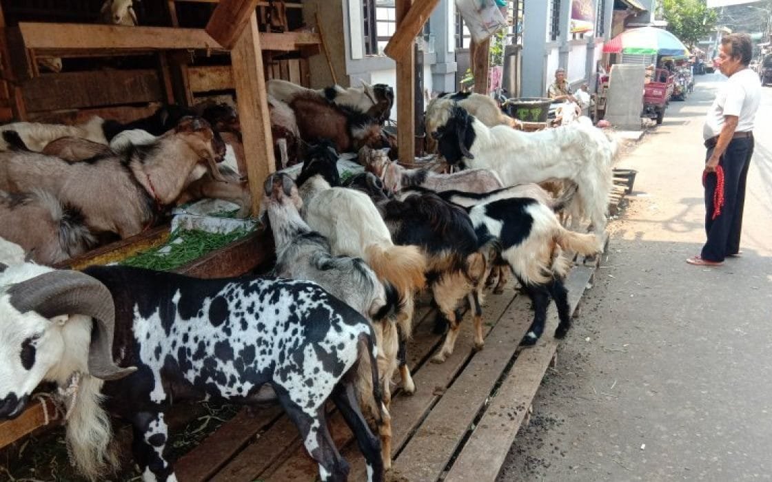 Inovasi Digital ,UMKM