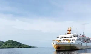 Jadwal Pelayaran Kapal Pelni KM Wilis