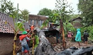 BMKG , Cuaca Ekstrem, Hujan Lebat ,Angin Kencang, Surabaya