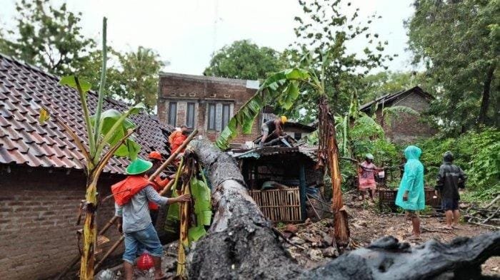 BMKG , Cuaca Ekstrem, Hujan Lebat ,Angin Kencang, Surabaya