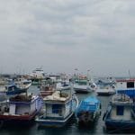 Jadwal Kapal Pelni KM Tatamailau