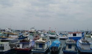 Jadwal Kapal Pelni KM Tatamailau