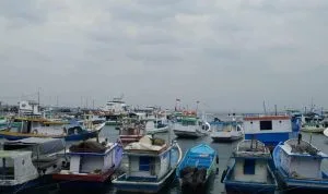 Jadwal Kapal Pelni KM Tatamailau