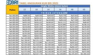 tabel-pinjaman-KUR-BRI-2025-Rp-1-Juta-Rp-50-Juta.jpg BBRI