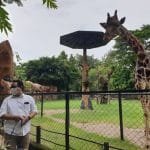 20210116 130509.jpg.780x439 q85