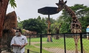 20210116_130509.jpg.780x439_q85.jpg 20210116 130509.jpg.780x439 q85