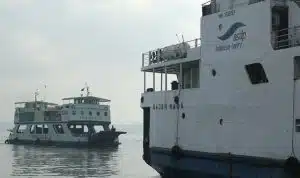 403564 650