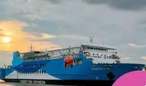 DLN-Batu-Layar-2022.jpg Jadwal Pelayaran Kapal, DLN Batu Layar ,DLN Oasis
