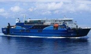 DLN OASIS 06042024 1