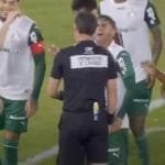 Fluminense vs Palmeiras Statistik Lengkap dan Hasil Akhir E28093 Palmeiras Menang Tipis 2 1 di Kandang Lawan