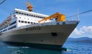 KM-Nggapulu.jpg KM Nggapulu 1