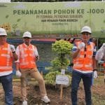 Kegiatan tanam bibit pohon di peringatan HMPI