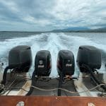 Jadwal dan Harga Tiket Kapal Feri Lombok-Bali