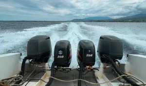 Jadwal dan Harga Tiket Kapal Feri Lombok-Bali