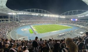 botafogo game at nilton santos stadium