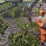 bpbd surabaya hujan es pohon tumbang